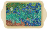Cumpara ieftin Tava metalica - Van Gogh - Les Iris | Cartexpo