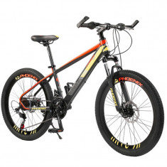 Bicicleta Mountain Bike cadru otel 13&amp;quot;, roti 20 inch, 21 viteze, schimbator Shimano, suspensii pe furca cu blocator, Phoenix foto