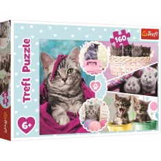 PUZZLE TREFL 160 PISICI DRAGALASE