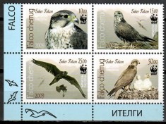 KYRGYZSTAN 2009 WWF FAUNA PROTEJATA PASARI DE PRADA SOIMI foto