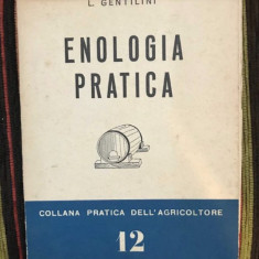 L. Gentilini - Enologia pratica (Oenologia practica in italiana)