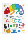 Marea carte despre culori - Hardcover - Mihaela T&icirc;rsu - Litera mică