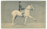 3527 - CIRCUS SIDOLI, Leokadia, Horse training - old postcard - used - 1909, Circulata, Printata