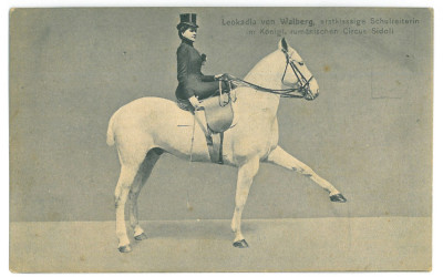 3527 - CIRCUS SIDOLI, Leokadia, Horse training - old postcard - used - 1909 foto