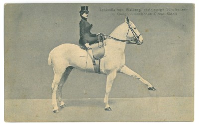3527 - CIRCUS SIDOLI, Leokadia, Horse training - old postcard - used - 1909 foto
