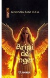 Aripi de inger - Alexandra-Alina Luca