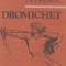 Aurel Petrescu - Dromichet. Semnul nemuririi