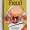 Richard Appignanesi - Cate ceva despre Freud