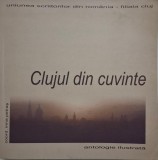 Clujul fara cuvinte. Antologie ilustrata alcatuita de Irina Petras
