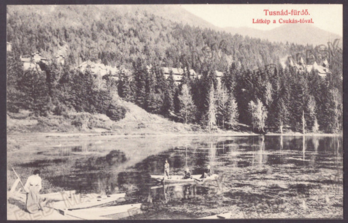 1737 - TUSNAD, Harghita, lake &amp; boats, Romania - old postcard - unused