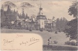CP Sinaia Castelul Peles ND(1905)