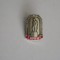 QW9 N3 93 - insigna - orase - capitale - Kiev - Ucraina