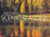 Susan Lamb - Arizona's Scenic Seasons: The Unique Landscapes of Spring, Summer,