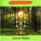 Cabala pe in?elesul tuturor - Paperback brosat - David Wells - Prestige
