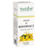 Tinctura de rostopasca, 50ml, Plantextrakt, Carpatica Plant Extract