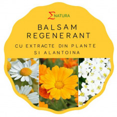 Balsam regenerant, 100ml - ENATURA foto