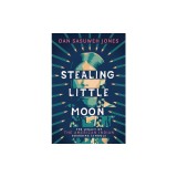 Stealing Little Moon: The Legacy of the American Indian Boarding Schools (Scholastic Focus)