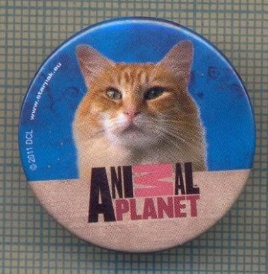 Y 1481 INSIGNA -ANIMAL PLANET - PENTRU COLECTIONARI foto