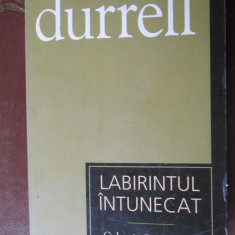 Labirintul intunecat