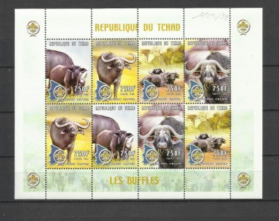 CHAD 2000 FAUNA ANIMALE SALBATICE BIVOLI SALBATICI foto