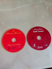 SET CD/DVD ROMICA PUCEANU SI GABI LUNCA