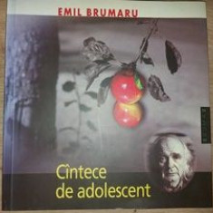 Cintece de adolescent- Emil Brumaru