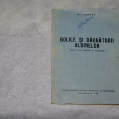 Bolile si daunatorii albinelor - I. Ograda - 1982