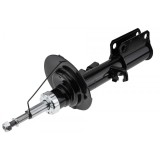 Amortizor fata Bmw X5 2001-2006, Dreapta, 31306754342