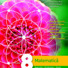 Matematica. Exercitii, probleme, teste. Clasa a VIII-a