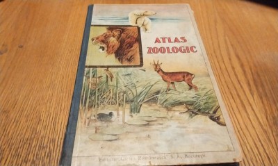 ATLAS ZOOLOGIC Cuprinzand 243 de Gravuri in Culori in 27 Planse duble - Editura Cartea Romaneasca, 1925, 34 p. cu 27 planse foto