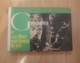 Cumpara ieftin Gimnastica in aer liber sub forma de joc - Ursula Kriesel, 1963, Alta editura