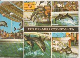 bnk cp Constanta - Delfinariu - necirculata
