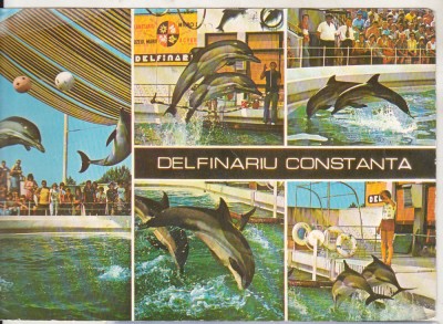 bnk cp Constanta - Delfinariu - necirculata foto