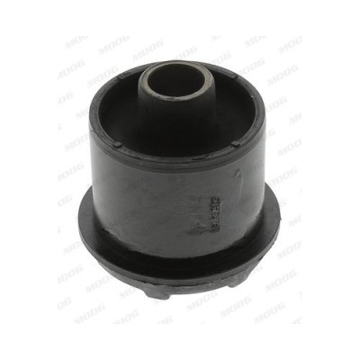 Moog suport, trapez foto