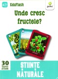 Unde Cresc Fructele? Stiinte Naturale, - Editura Gama