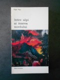 EDGAR PAPU - INTRE ALPI SI MAREA NORDULUI, Nemira