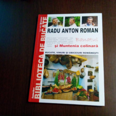 RADU ANTON ROMAN - Banatul si Muntenia Colinara -Vol. IV - 2008, 94 p.