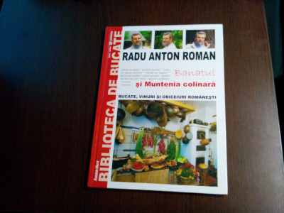RADU ANTON ROMAN - Banatul si Muntenia Colinara -Vol. IV - 2008, 94 p. foto