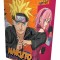 Naruto Box Set 3: Volumes 49-72 with Premium