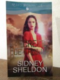 SECRETE DE FAMILIE-SIDNEY SHELDON