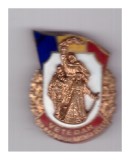 Insigna Veteran din razboiul antifascist