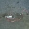 Amplificator de antena BMW X5 F15, F85 2015 OEM: 9270482 | 1924488