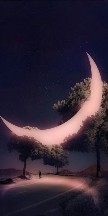 Husa Personalizata HTC A9S New Moon
