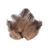 Set 20 pene decorative gaina, lungime 5-12 cm, Bej