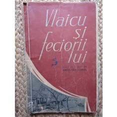 VLAICU SI FECIORII LUI - LUCIA DEMETRIUS