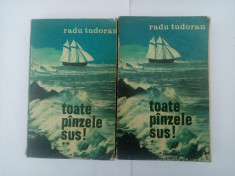 RADU TUDORAN - TOATE PANZELE SUS! - VOL. 1 + VOL. 2 foto