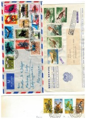 Lot 5 plicuri circulate francate cu timbre cu pasari, destinatii mai deosebite