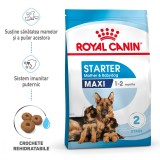 Royal Canin Maxi Starter Mother &amp; Babydog, mama si puiul, hrana uscata caine, 4 kg