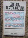 ESTETICUL IN SFERA CULTURII