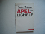 Apel catre lichele - Gabriel Liiceanu, 1993, Humanitas